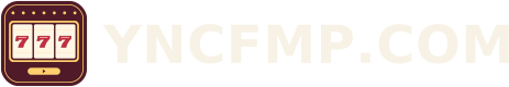 YNCFMP.COM